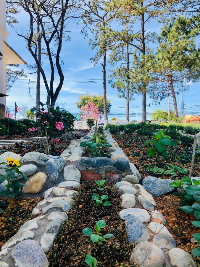 Bach Tra Villa Da Lat Dış mekan fotoğraf
