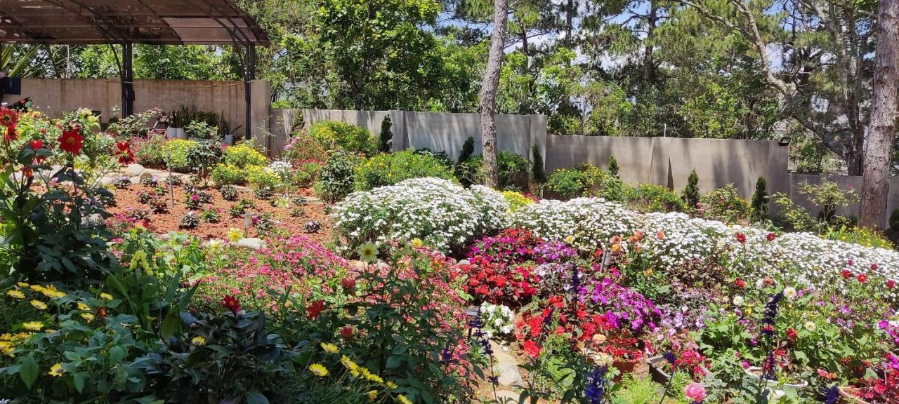 Bach Tra Villa Da Lat Dış mekan fotoğraf